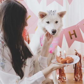 Wodison Dog Cat Birthday Party Supplies, Birthday Bandana Tutu Bow Tie Crown Happy Birthday Banner WOOF Balloons 0-9 Numbers for Small Dogs and Cat Birthday Decorations