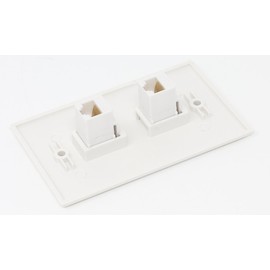 RiteAV 1 Gang 2 Port Cat6 Wall Plate - White