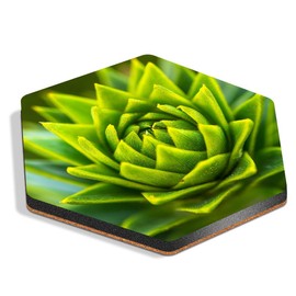 1 x Hexagon Coaster - Monkey Puzzle Pine Tree Cork Backed MDF Glossy Tea Coffee Accessory #51476