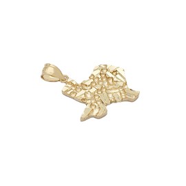 10K Yellow Gold Texas State Map Pendant Nugget Gold Texas