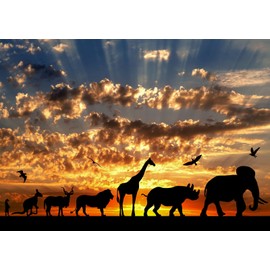 CORFOTO 2.1x1.5m African Animals Backdrop Great Migration of African Animals Sunset Photography Backdrop African Safari Theme Party Background African Sunset Scenery Backdrop Photo Booth Props