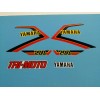 YAMAHA YTM200 TRI-MOTO 1983 DECAL DECAL GRAPHIC SET(#*Y55)