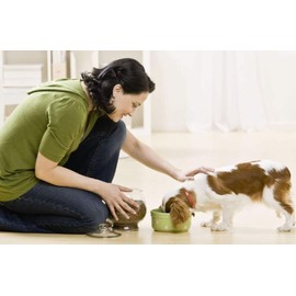 I LOVE MY PETS LLC Dog probiotics - Digestive AID for Dogs - PET PROBIOTIC Vegetable stearic Acid - 120 Treats (2 Bottles)