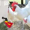 4pcs Large Automatic Chicken Waterer Cups DIY Poultry Chicken Waterer