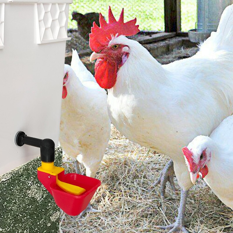 4pcs Large Automatic Chicken Waterer Cups DIY Poultry Chicken Waterer