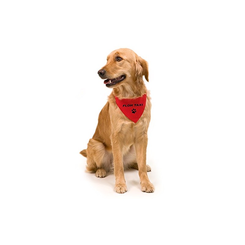 Dog collar with triangular cloth - adjustable from 32 to