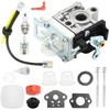 Newnessai A021004700 Carburetor Tune Up Kit, Replacement for Echo PB-2520