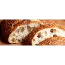 Unbranded STARTER yeast San Francisco BEAST RECIPES mix bread yeast flour machine hand d