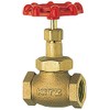 Kitz 3/4 G20A Globe Valve with Zisk Type 125