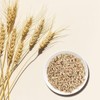 Fresh Herbs Domestic Malt 600g Roasted Malted Barley - 1.