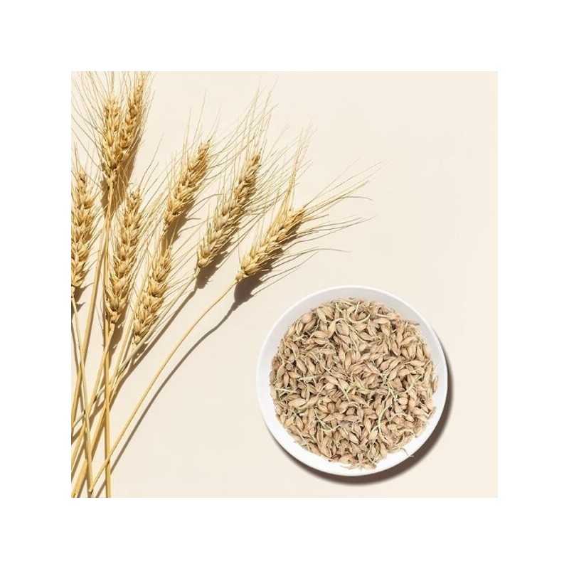 Fresh Herbs Domestic Malt 600g Roasted Malted Barley - 1.