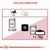 Royal Canin - Bolsa húmeda instantánea para adultos, 12 x