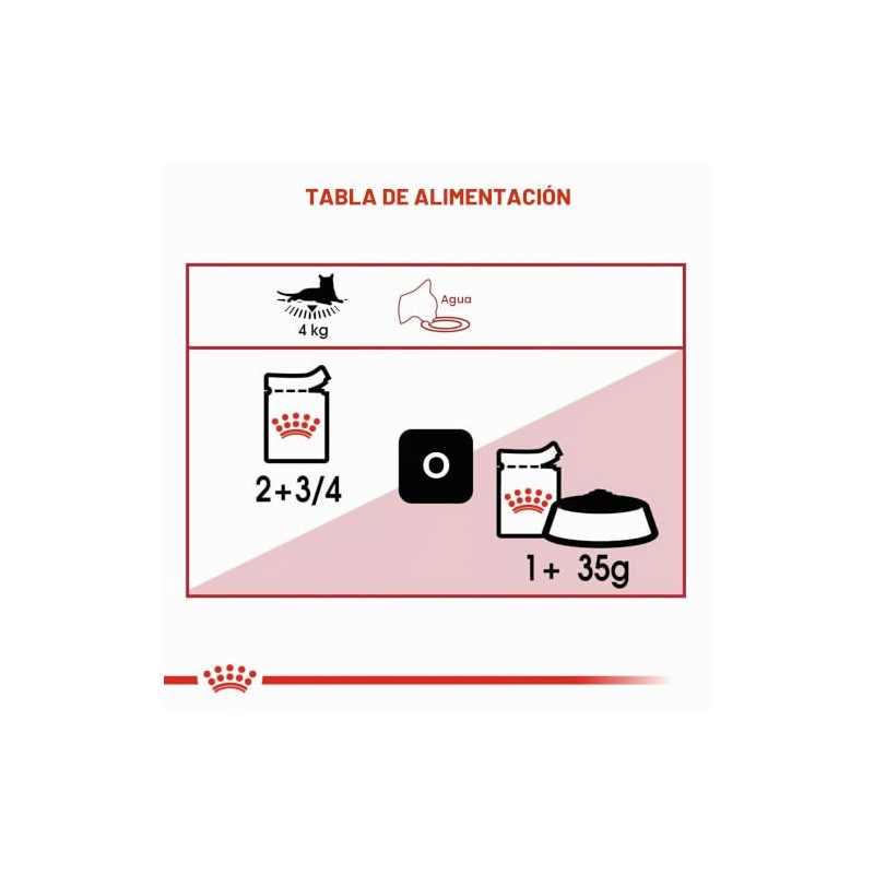 Royal Canin - Bolsa húmeda instantánea para adultos, 12 x