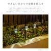 Takeda Corporation SLH-79 Stainless Steel Solar Light