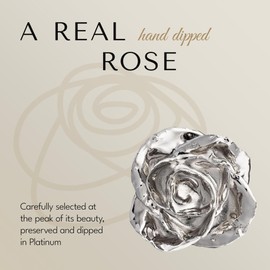 Forever Rose "I Love You Bloom Box Bundle, Platinum Dipped Rose in a Beautiful Phantom Vase and Bloom Box, Romantic Gift for Women & Men