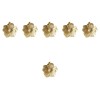 Mikikit 6 Pcs Brass Flower Drawer Knobs, Golden Cabinet Pull