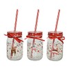 Kaemingk Drinking Glasses with Lid 13 cm x 1 Piece