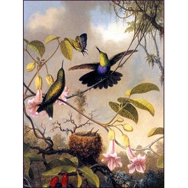 Hummingbird and Butterfly by Martin Johnson Heade Accent Tile Mural Kitchen Bathroom Wall Backsplash Behind Stove Range Sink Splashback One Tile 6"x8" Ceramic, Matte