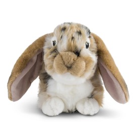 Living Nature Brown Dutch Lop Eared Rabbit Stuffed Animal Plush Toy | Fluffy Rabbit Animal | Soft Toy Gift for Kids | Boys and Girls Stuffed Doll | Naturli Eco-Friendly Plushies | 26 cm