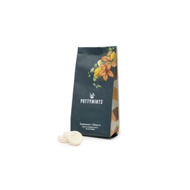 Potty Mints Dissolvable Air Freshener Toilet Tablets | Teakwood | Long-Lasting, Non-Toxic | Made in The USA | Discreet Packaging, Septic Safe | Travel Friendly (20 Bag)