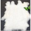 Unbranded 5PCS Natural Rabbit Skin Pelt Fur Hides Leather Tanned