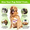 Probiotics for Dogs, 3 in 1 Dog Probiotic Drops, Dog