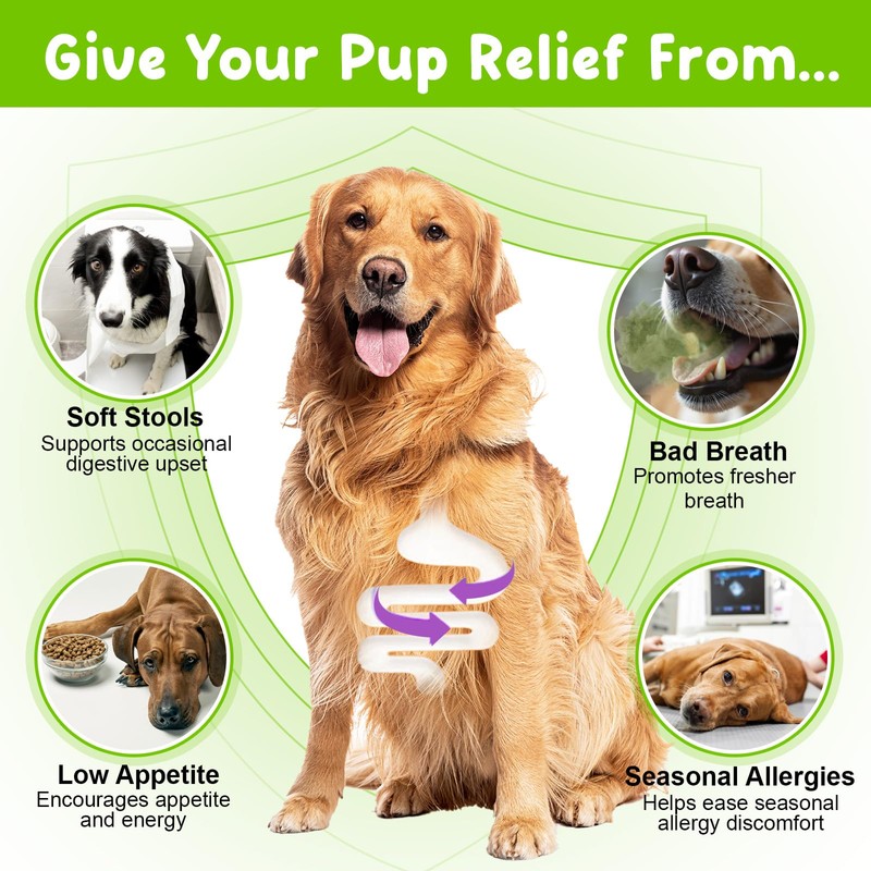 Probiotics for Dogs, 3 in 1 Dog Probiotic Drops, Dog