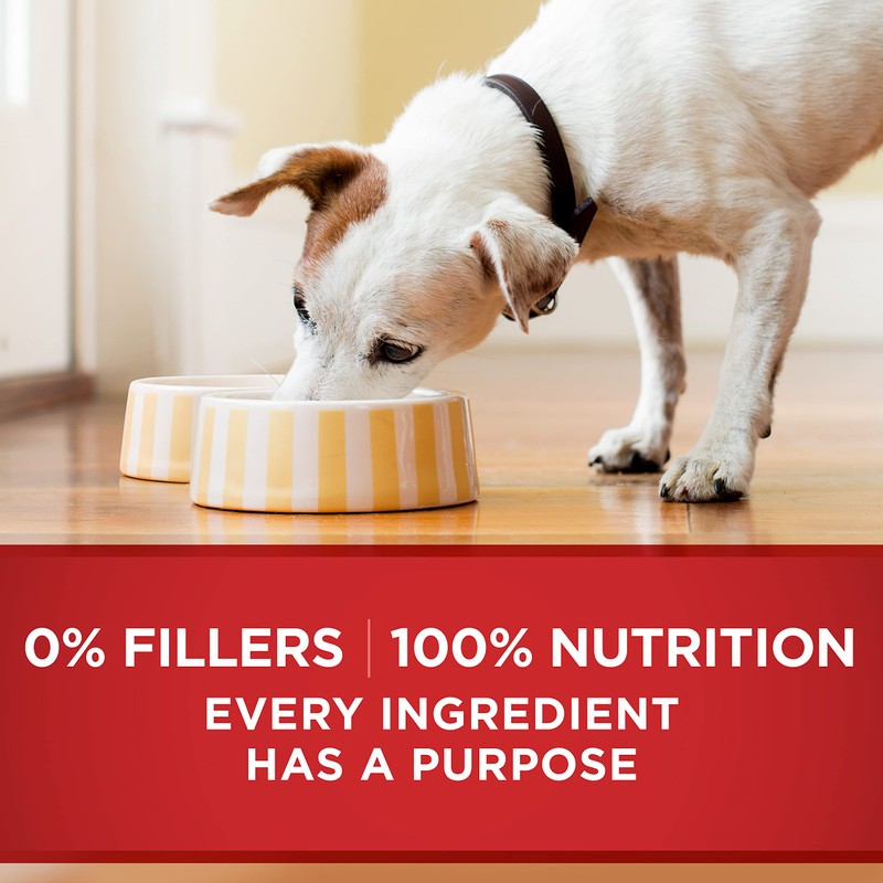 Purina ONE Tender Cuts in Gravy Chicken and Brown Rice,