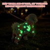 Sueter para Perros Chicos, Ropa Luminosa para Perros, Ropa para