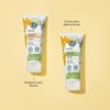 Yves Rocher Pack Crema Manos Secas Pur Arnica Hidratante Larga