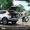 2 Pcs Rear Hatch Trunk Lift Supports Gas Struts Tailgate