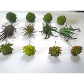 Darice Miniature Succulent Picks Artificial Fairy Garden Crafts 12 Pieces
