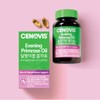 Cenobis Galleria Evening Primrose Oil Gamma Linolenic Acid Vitamin E