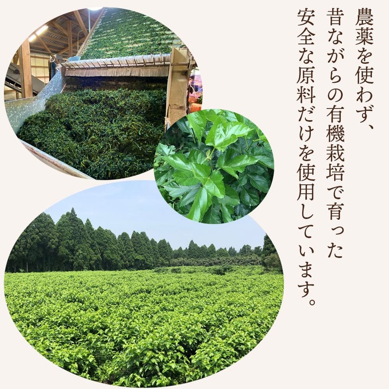 Orgaia Orgaia Mulberry Leaf Soup, Made in Kagoshima Prefecture, Improved,
