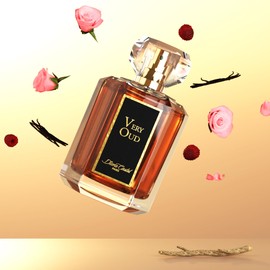 Diane Castel Very Oud - Woody Amber Fragrance - Perfume for Women - Women Perfume with Vanilla, Raspberry, Rose, Lychee, Leather, and Musk - 3.3 oz