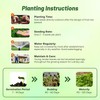 Outsidepride Fenugreek & Microgreens Seeds - 2000 Pcs. Annual, Versatile