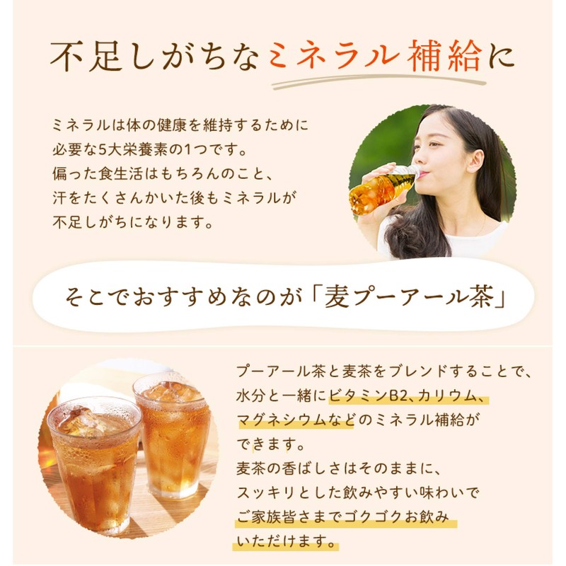 Wheat Pu'er Tea Pot Tea Bags, Pack of 50