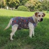 KUVEELA PET Large Dogs, Medium Dog Clothes, Postoperative Clothes, Postoperative