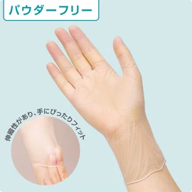 Saraya Plastic Gloves, E, 100 Pieces, Powder-Free, Powder Free (M)