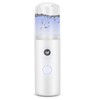 Face Mist Sprayer Hydrating Portable USB Steaming Beauty Instrument for