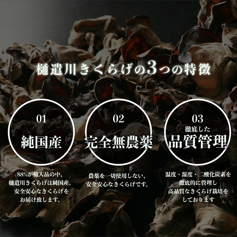 【純国産】樋遣川きくらげ 内容量100g パウダー 粉末 木耳 無農薬 贈答品 ギフト