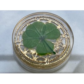 Real Four Leaf Clover Good Luck Pocket Token, Preserved, 1.25”, Including Metal Ornament (Magic Circle of The Moon)