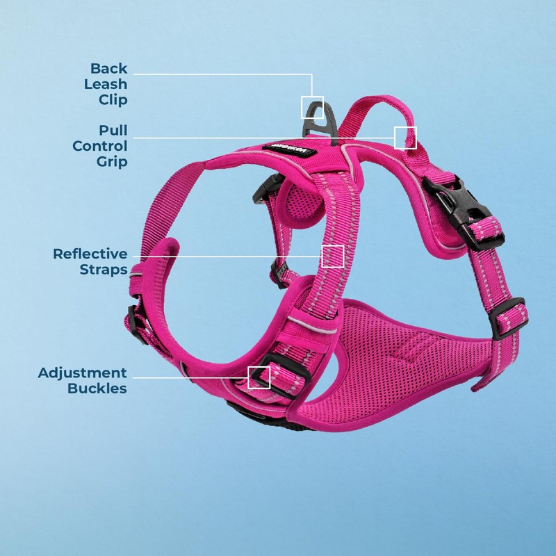 Voyager Dog Harness Dual Leash Attachment No-Pull Control Adjustable Soft