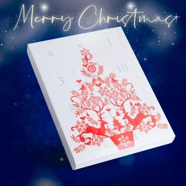 Little Gold Daisy Advent Christmas Calendar Necklace, Bracelet, Stud Earrings Jewelry Gift set