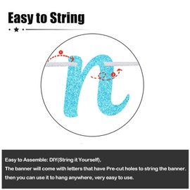 Dinks & Drinks Banner, Dink & Drink Bridal Shower Party Decorations, for Pickleball theme birthday bach party Decorations Green Glitter