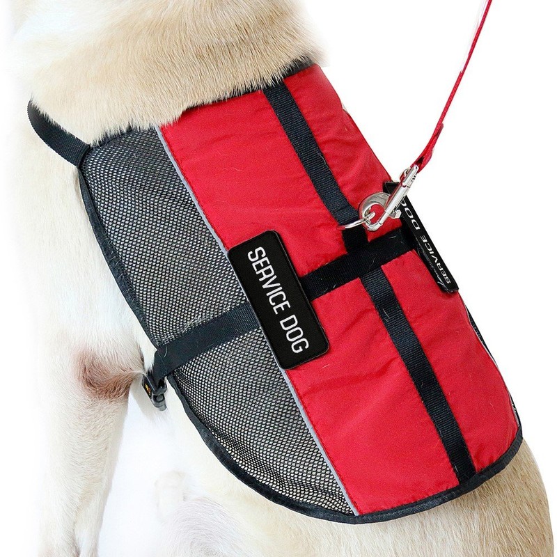 PLUTUS PET Service Dog Vest with 2 Removable Patches, Light