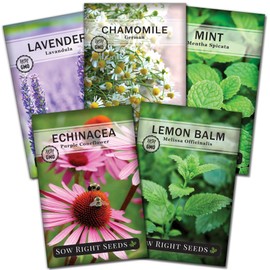 Sow Right Seeds Sow Right Seeds - Herbal Tea Collection - Lemon Balm, Chamomile, Mint, Lavender, Echinacea Herb Seed for Planting; Non-GMO Heirloom Seed, Instructions to Plant Indoor or Outdoor; Gardening Gift