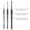 Roubloff Pack of 3 Professional Brush Set in Sizes 1-3-5