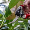 Darlac Expert Titanium Bypass Pruning Scissors – Garden Pruners with