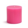 Zest Candle CPZ-073_12 12-Piece Pillar Candle, 3" x 3", Hot